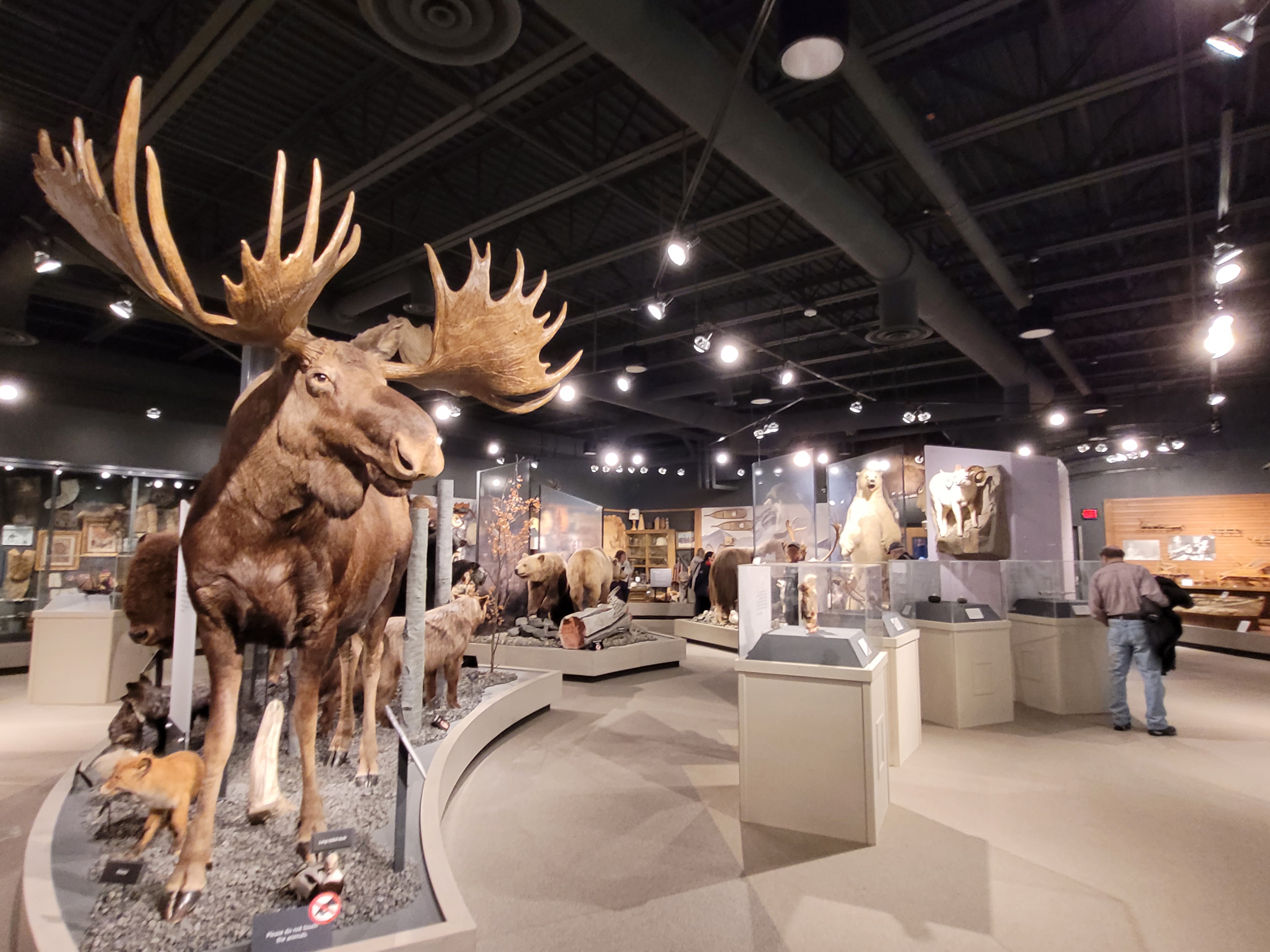 Big state, small museums